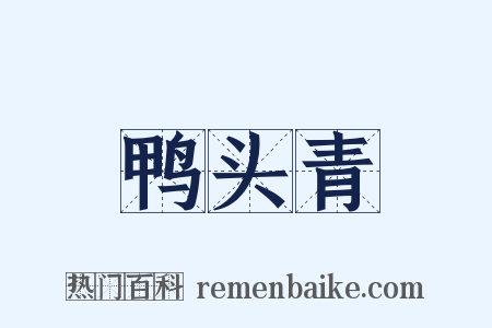 鸭头青是什么意思的图片